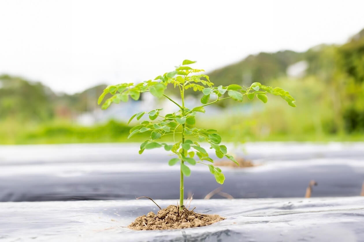 “土台”から整えるという、
未来の選択肢。