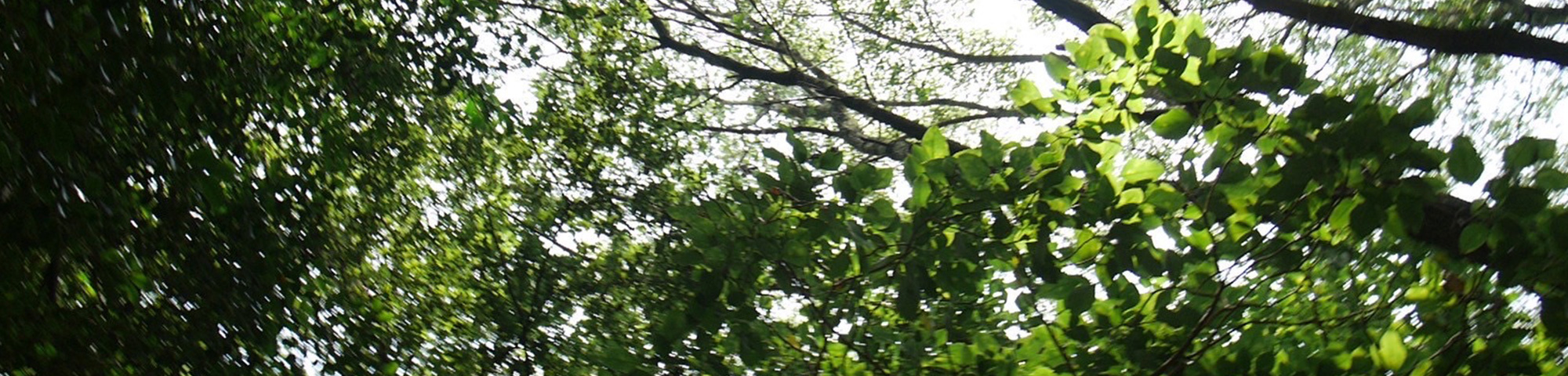 最近チェックした商品