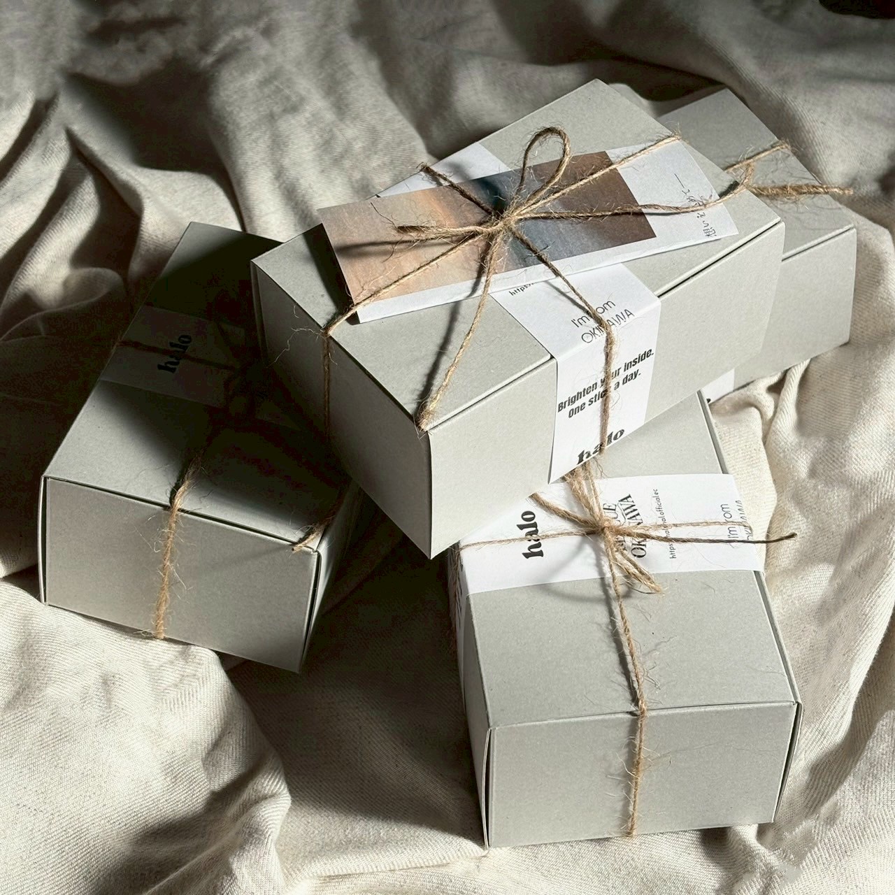 『RESCUE』モリンガ青汁 - 画像 (7)