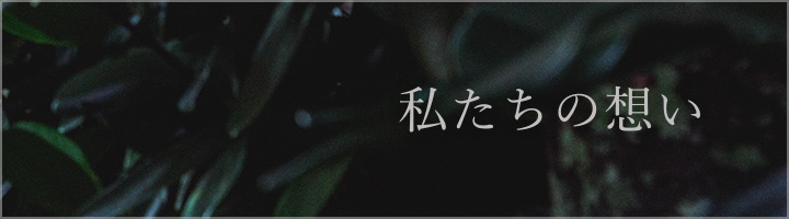 私たちの思いについて