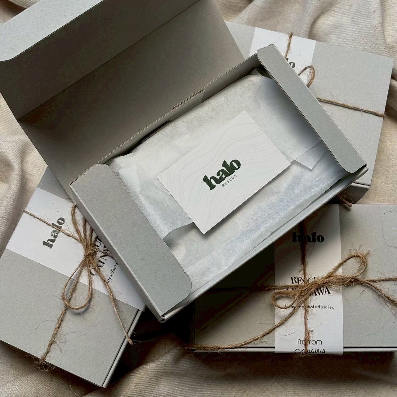 ギフト仕様『RESCUE』モリンガ青汁