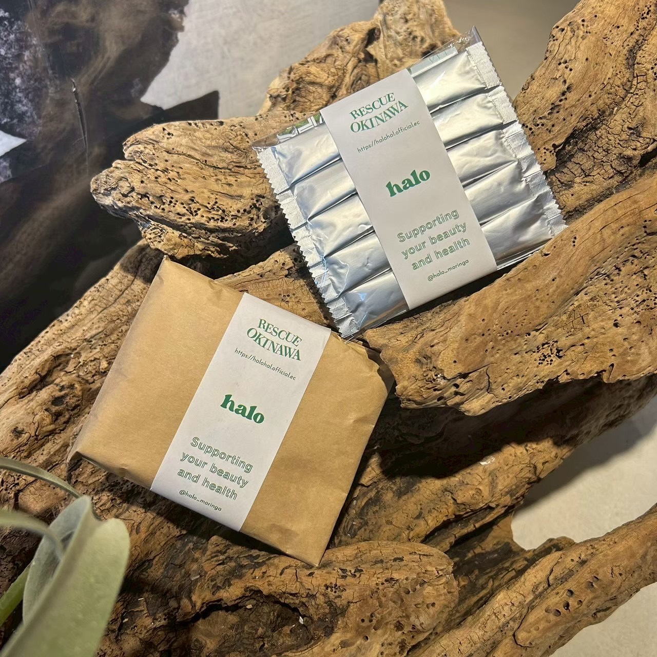 個包装(5本入)『RESCUE』モリンガ青汁