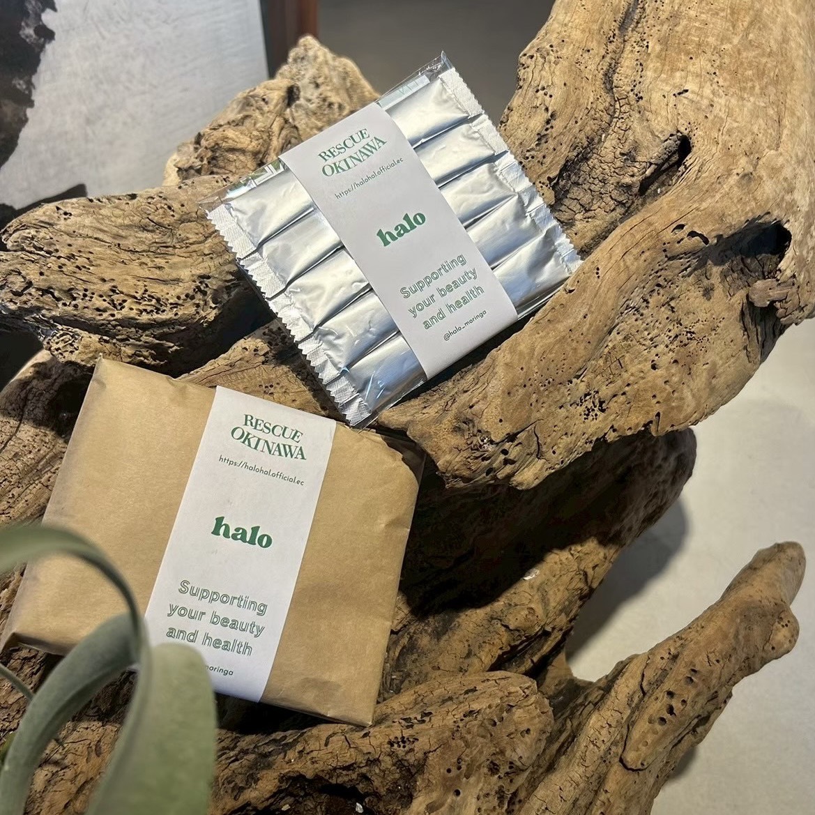 個包装(5本入)『RESCUE』モリンガ青汁 - 画像 (3)